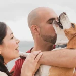 Como cuidar do seu animal de estimação