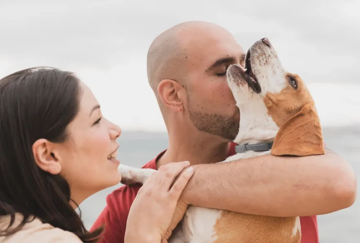 Como cuidar do seu animal de estimação
