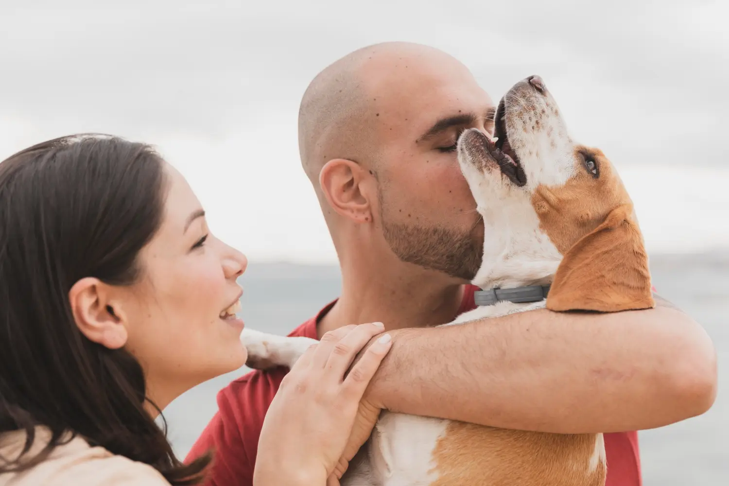 Como cuidar do seu animal de estimação