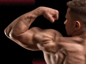 Quais os efeitos colaterais do clenbuterol