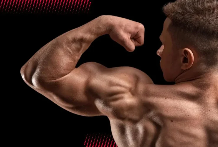 Quais os efeitos colaterais do clenbuterol