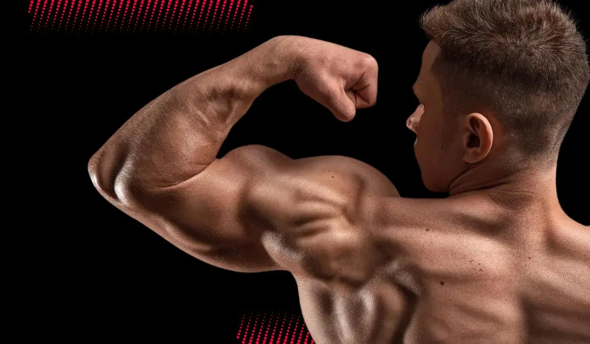 Quais os efeitos colaterais do clenbuterol