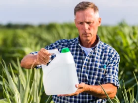 Dosagem Ideal do Herbicida Nativo da Bayer por Litro de Água